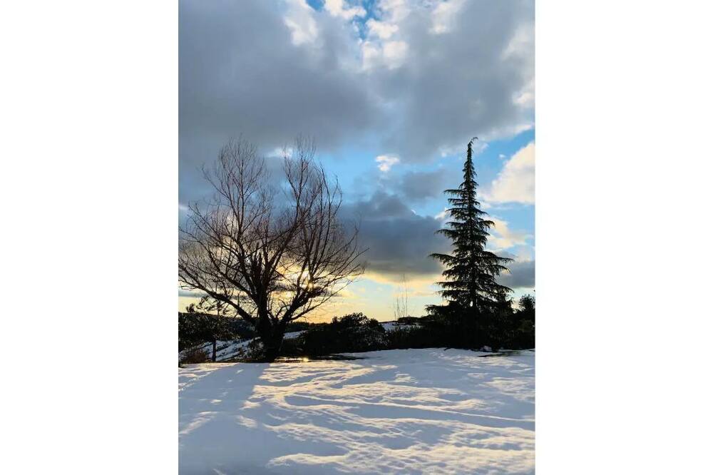 Photo of Others in Somerset