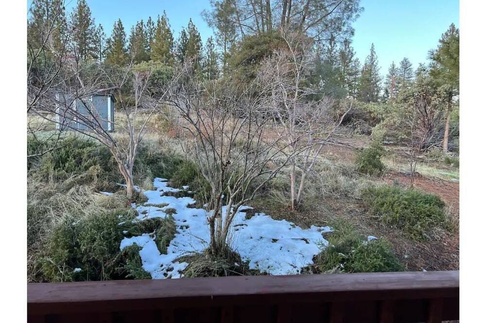 Photo of Others in Somerset