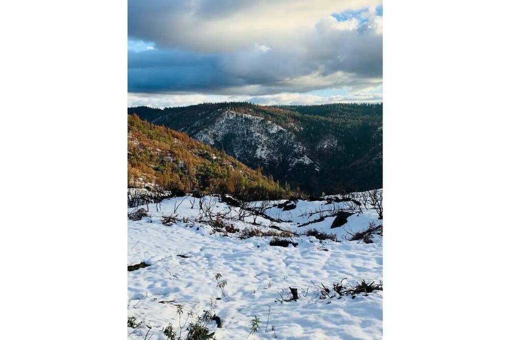 Photo of Others in Somerset