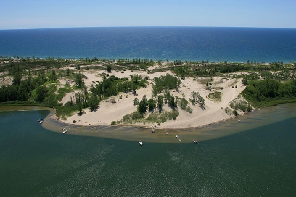 Photo of Others in Picton