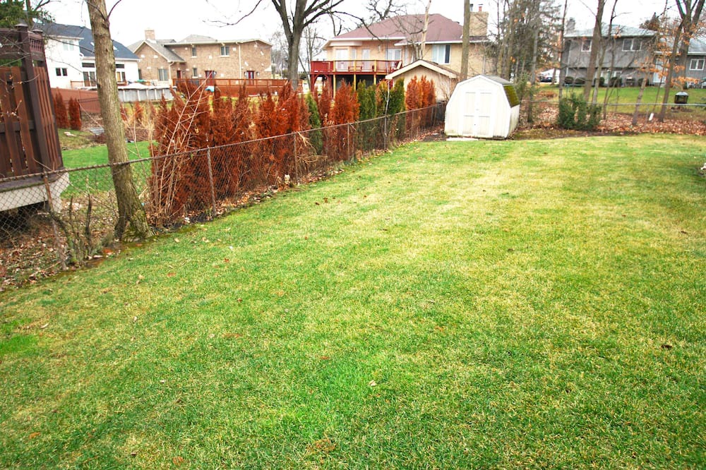 Photo of Others in Willowbrook