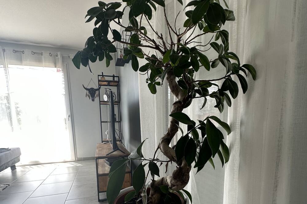 Photo of Others in Fleurat