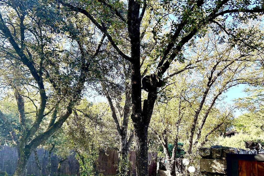 Photo of Outdoor in Venturada