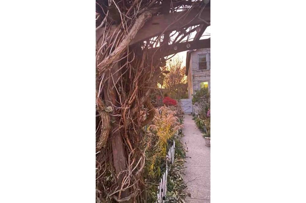 Photo of Outdoor in Evanston