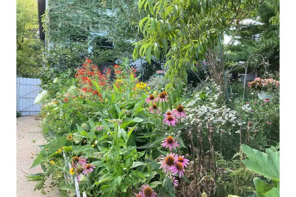 Photo of Outdoor in Evanston