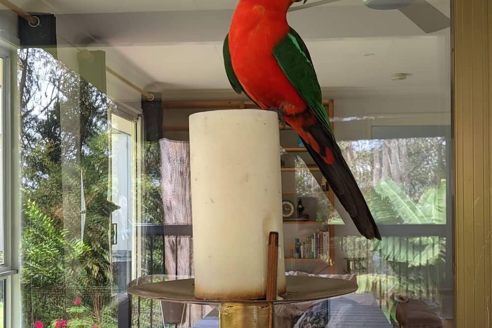 Photo of Others in Springbrook