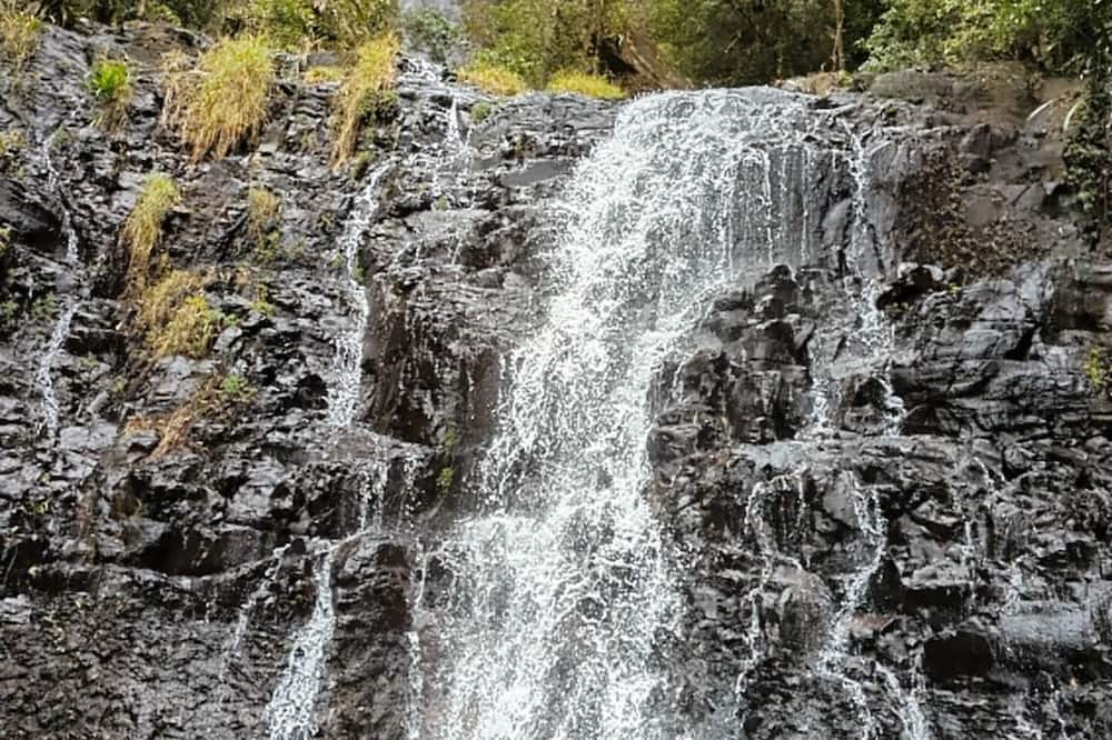 Photo of Others in Springbrook