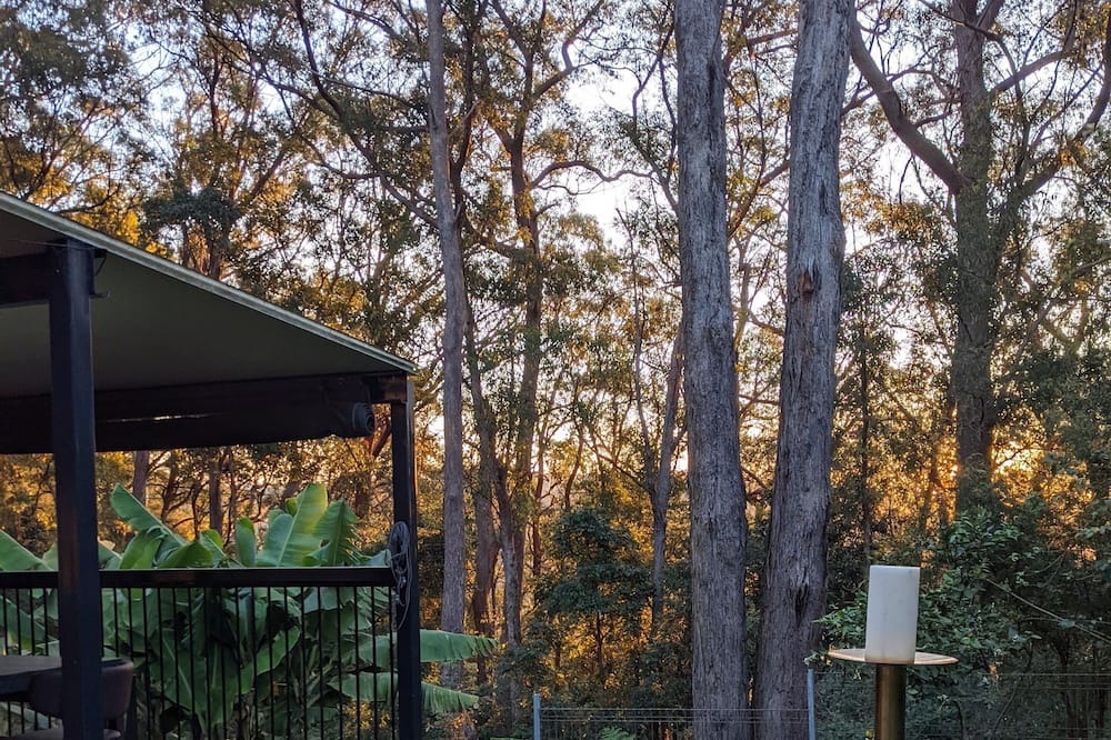 Photo of Outdoor in Springbrook