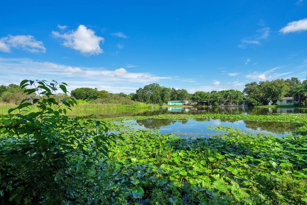 Photo of Others in Conway