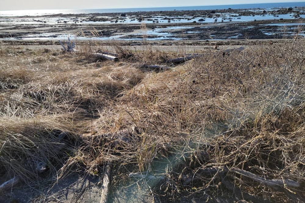 Photo of Others in Rimouski