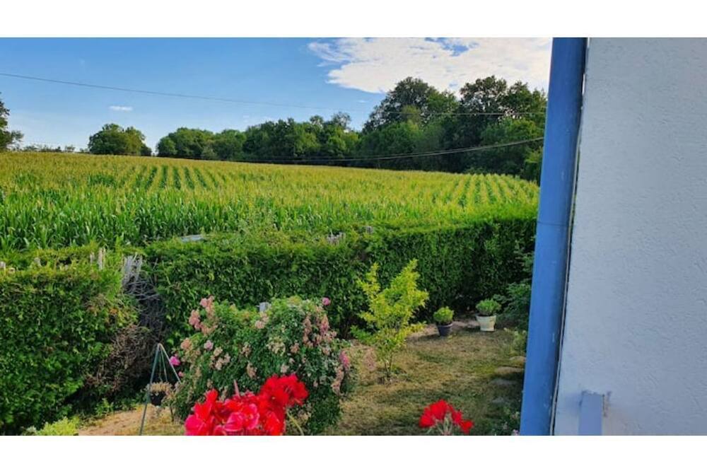 Photo of Outdoor in Breuil-Bois-Robert
