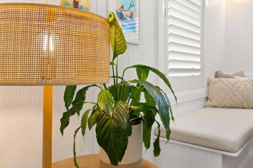 Photo of Others in Merewether