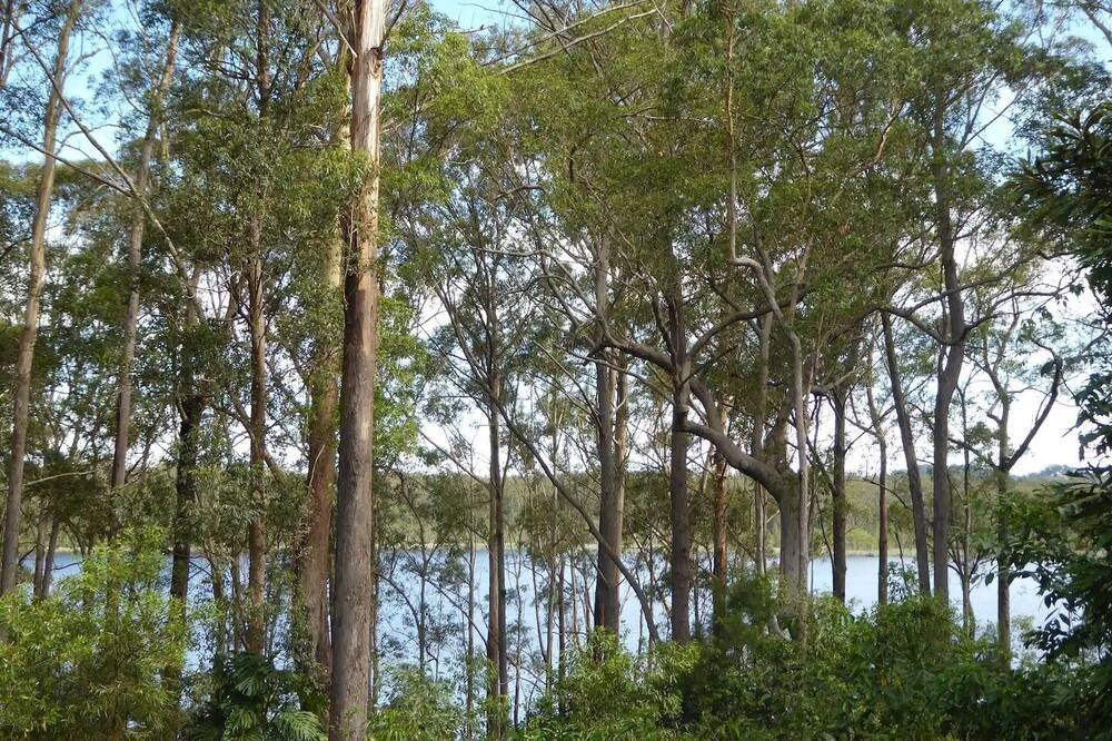 Photo of Outdoor in Landsborough