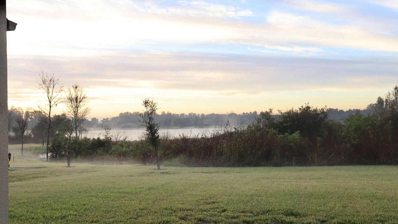 Photo of Outdoor in Seffner