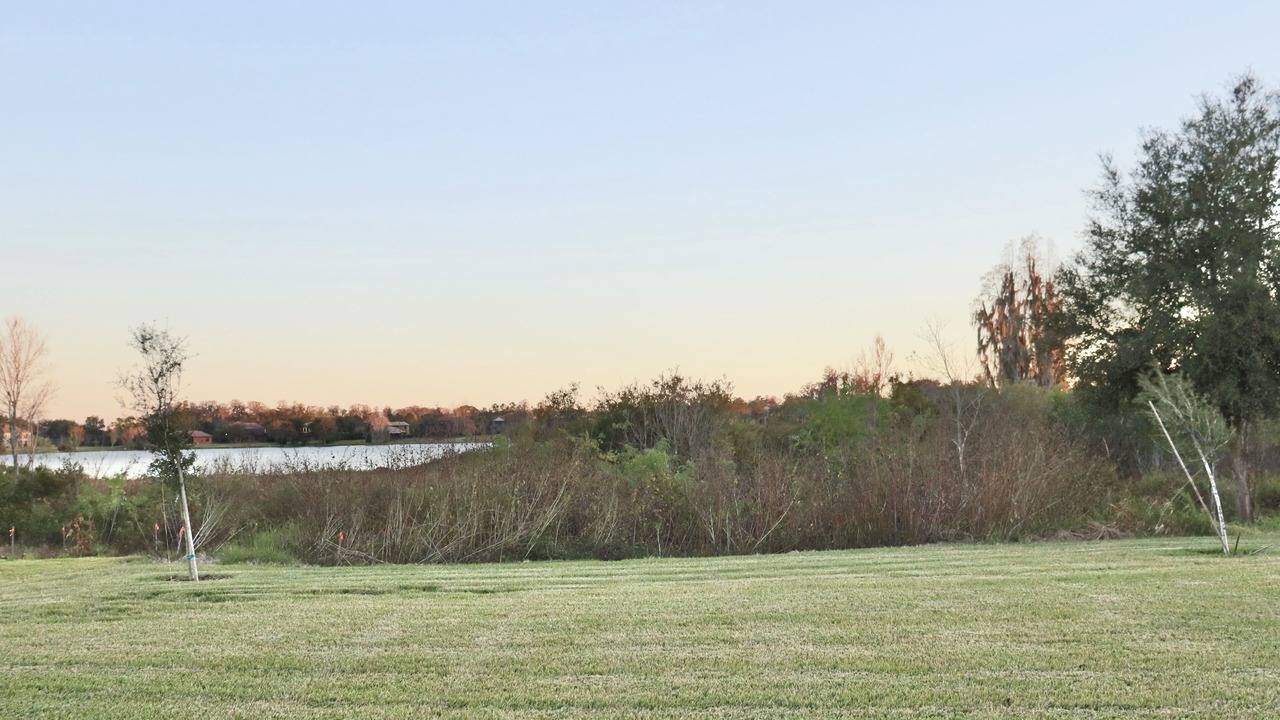 Photo of Outdoor in Seffner