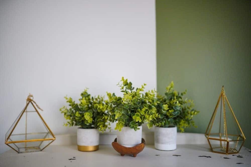 Photo of Others in Plantsville