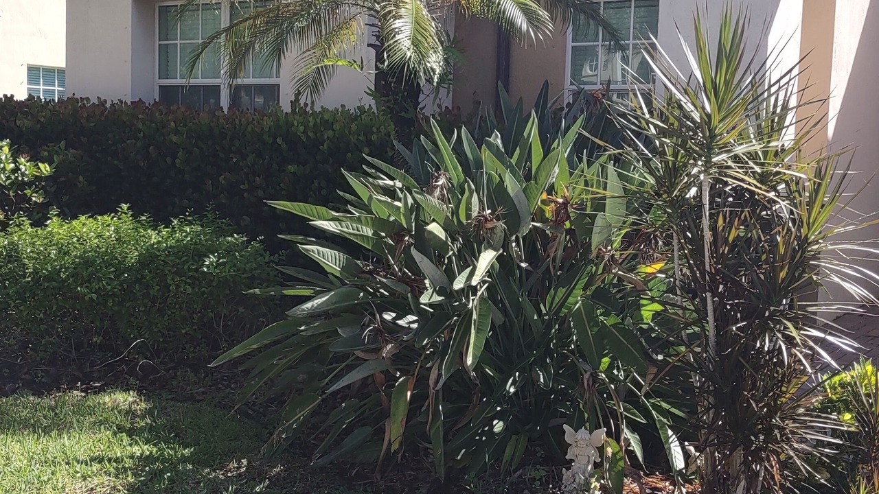 Photo of Outdoor in Parkland
