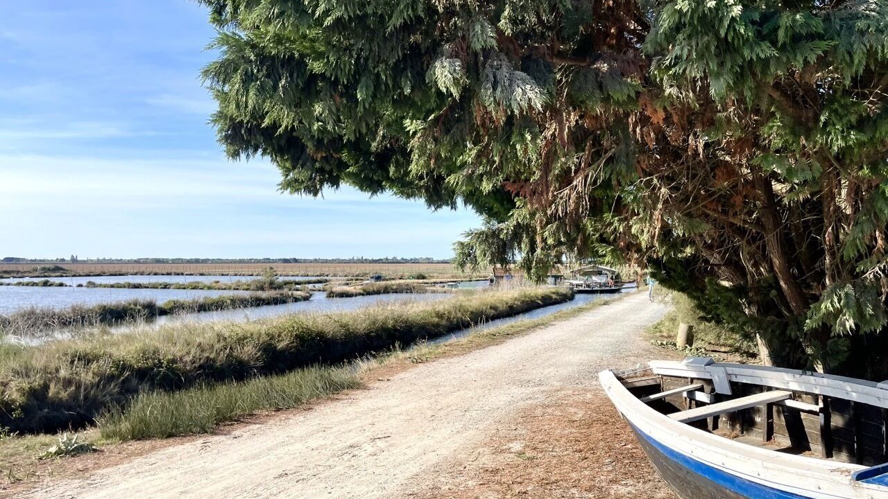 Photo of Others in Talais