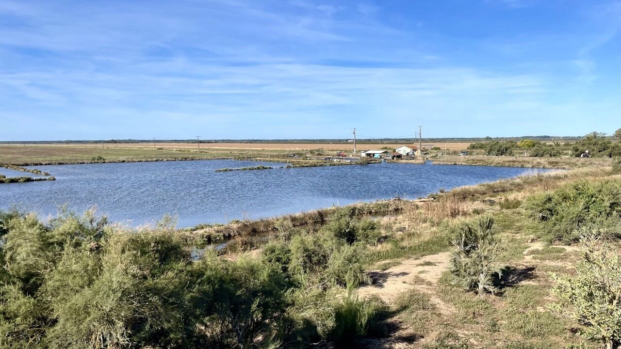 Photo of Others in Talais