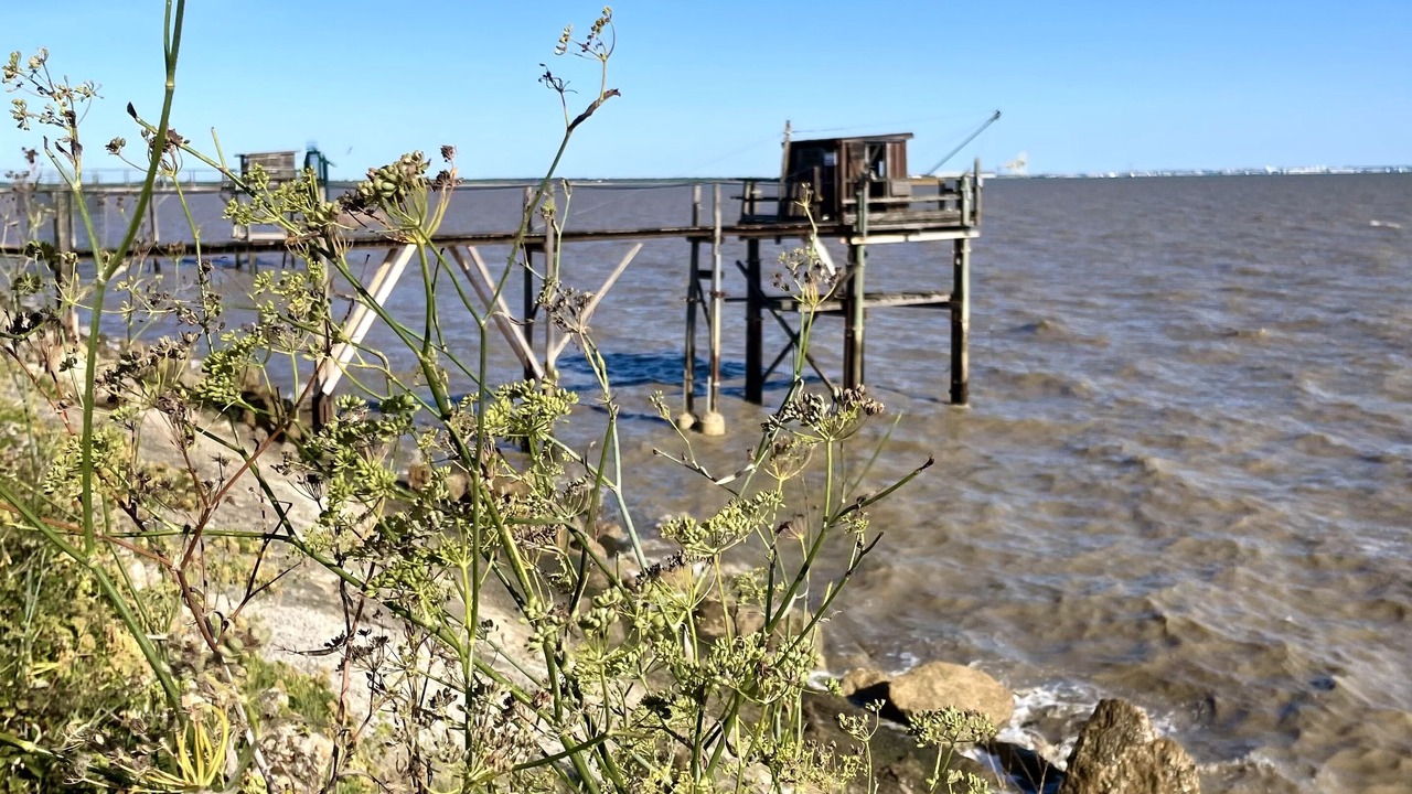 Photo of Others in Talais