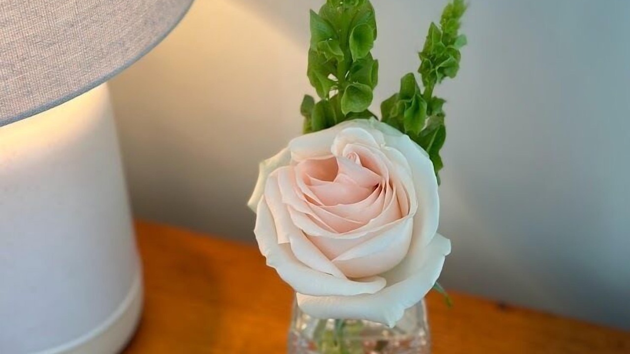 Photo of Others in Charlestown