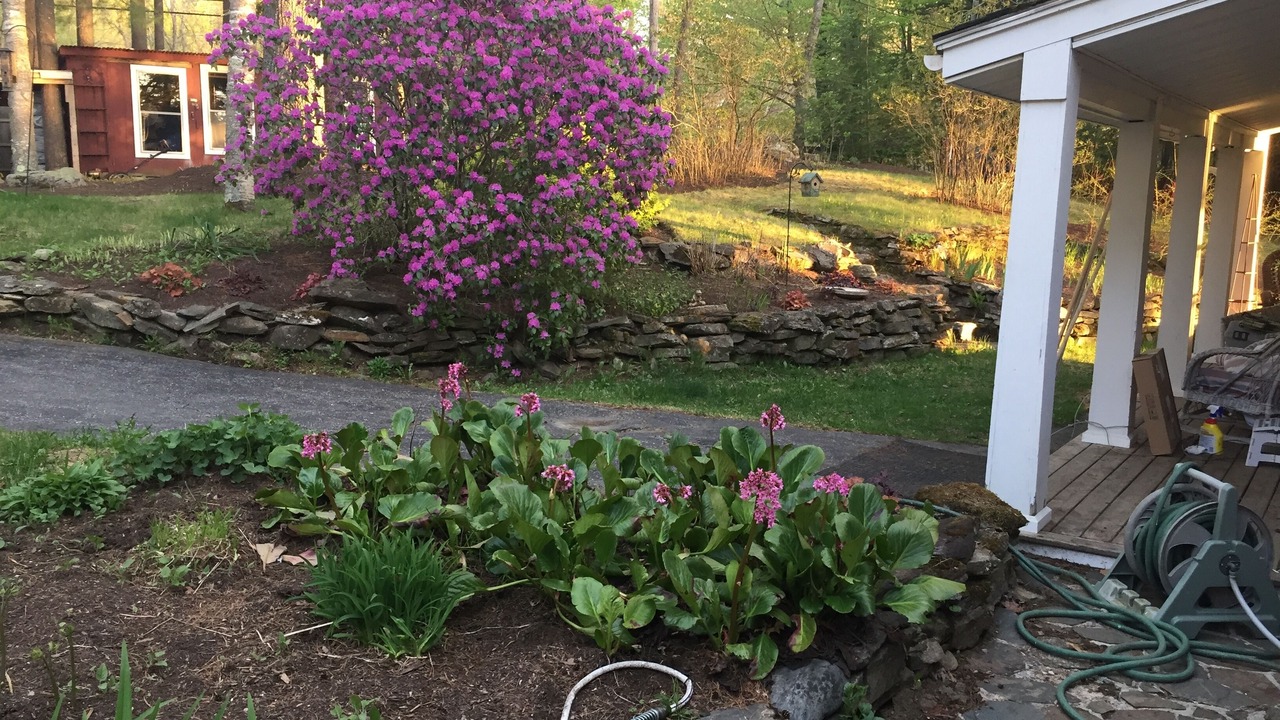 Photo of Outdoor in Winthrop