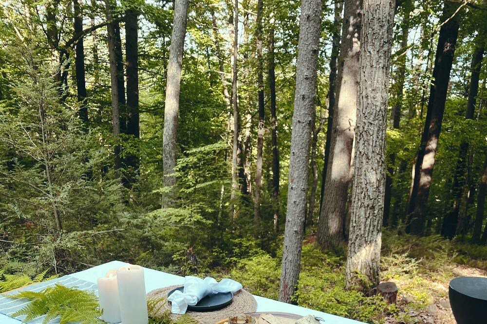 Photo of Others in Pond Eddy