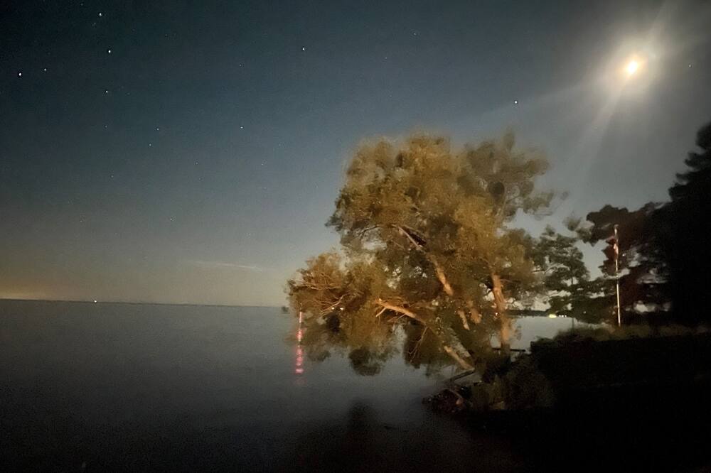 Photo of Outdoor in Brighton