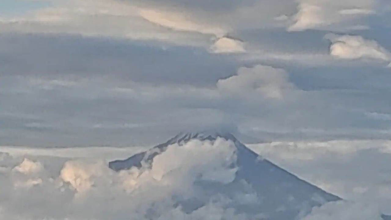 Photo of Outdoor in Normanby