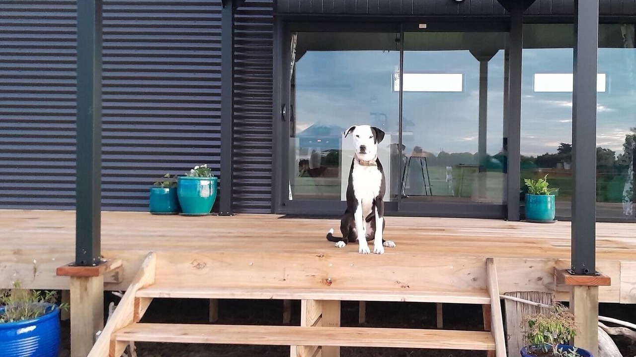 Photo of Outdoor in Normanby