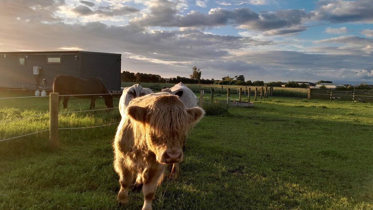 Photo of Others in Normanby