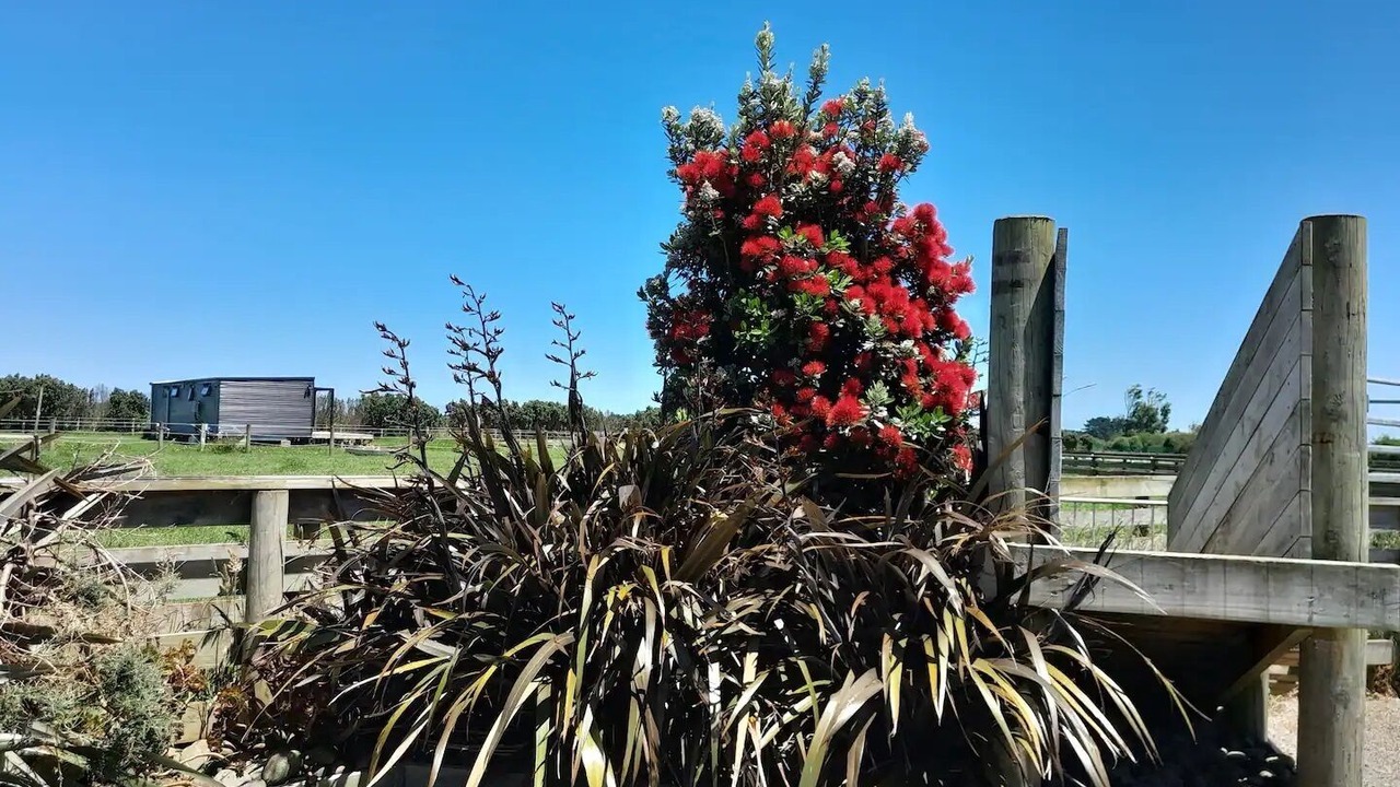 Photo of Outdoor in Normanby