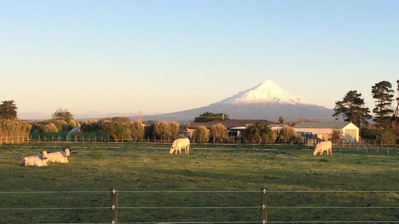 Photo of Outdoor in Normanby