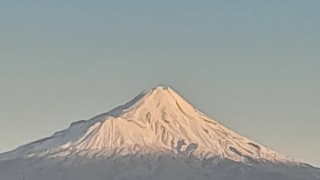 Photo of Others in Normanby