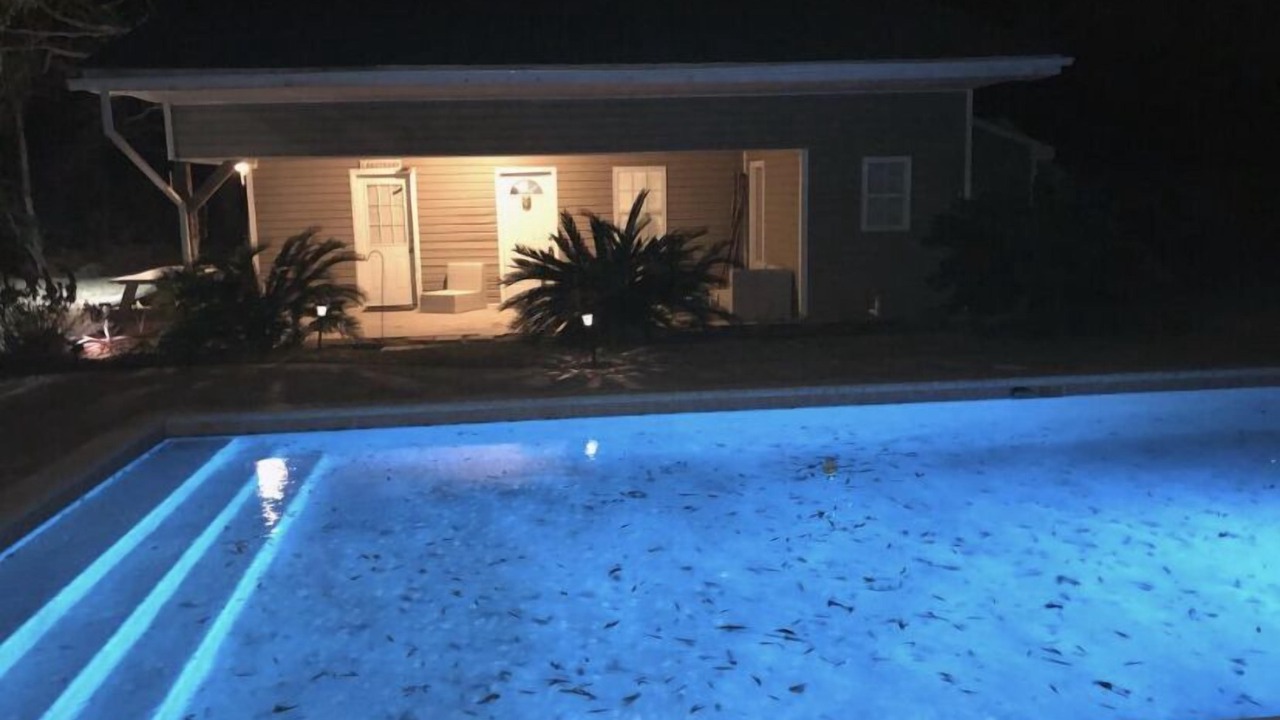 Photo of Outdoor in Surfside Beach