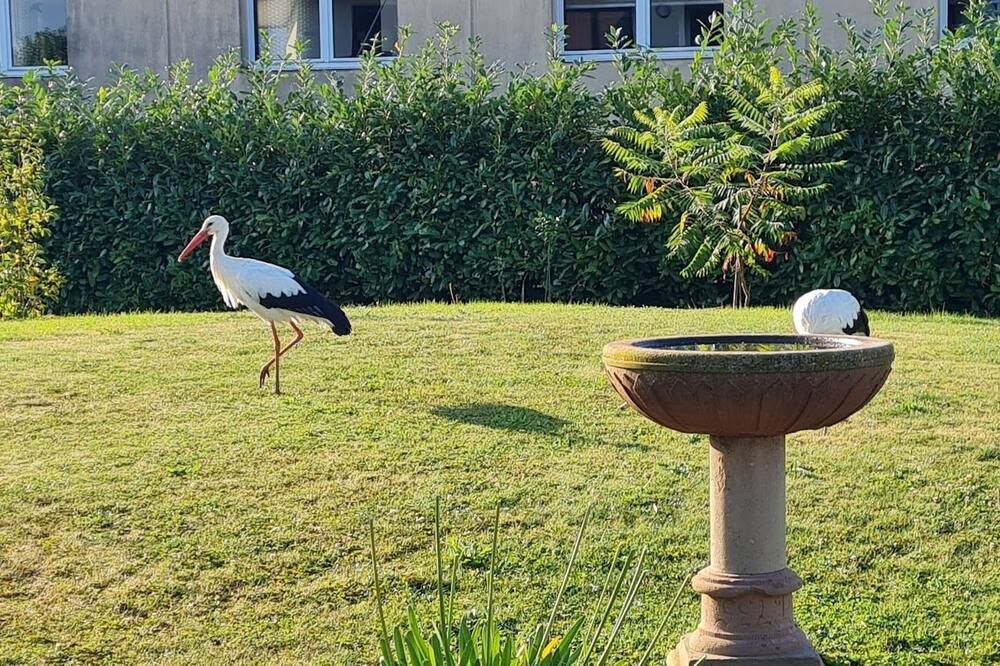 Photo of Outdoor in Hunawihr