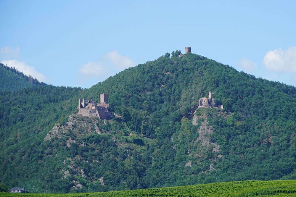 Photo of Outdoor in Hunawihr