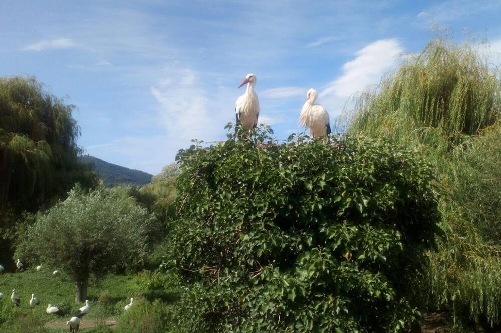 Photo of Others in Hunawihr