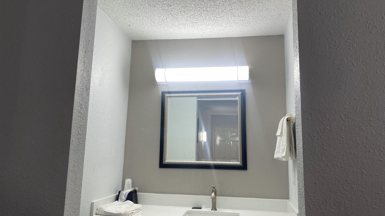 Photo of Others in Forest Park