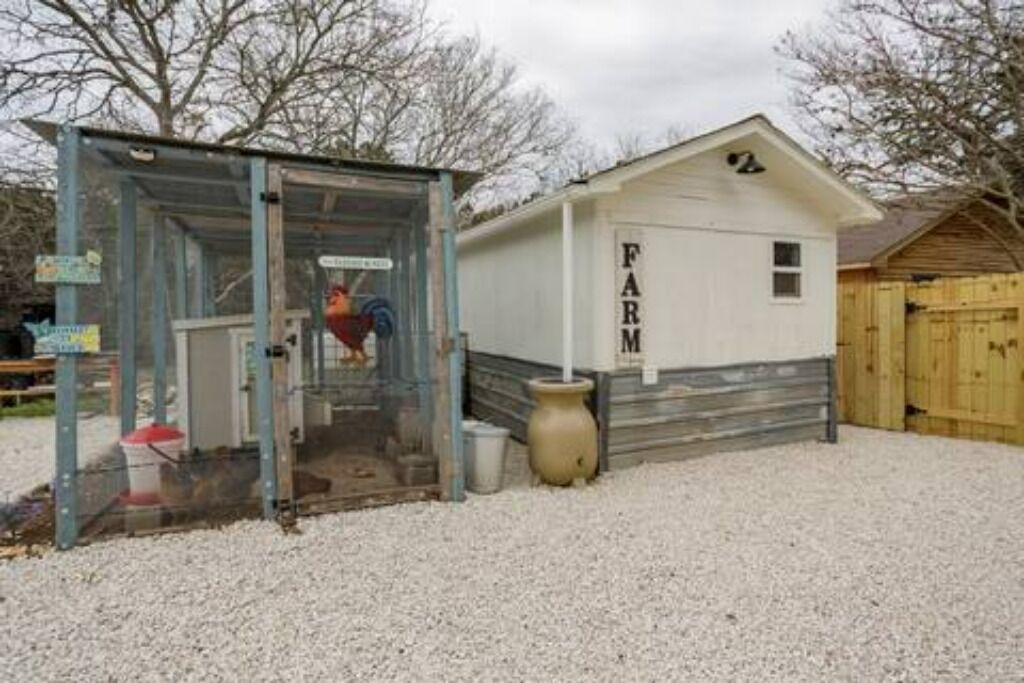 Photo of Outdoor in Spring Branch