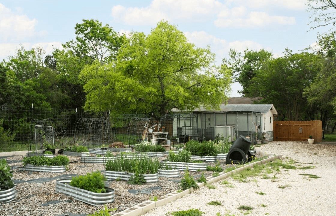 Photo of Outdoor in Spring Branch
