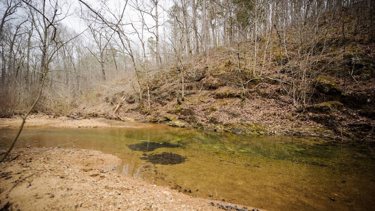 Photo of Others in Doniphan