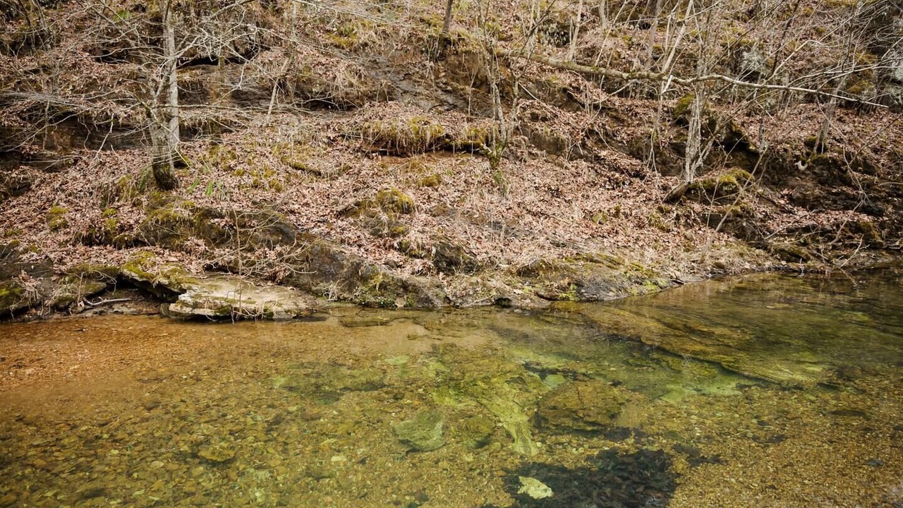 Photo of Outdoor in Doniphan