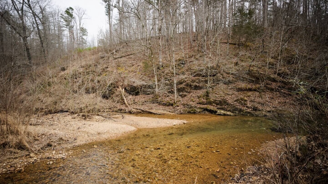 Photo of Others in Doniphan
