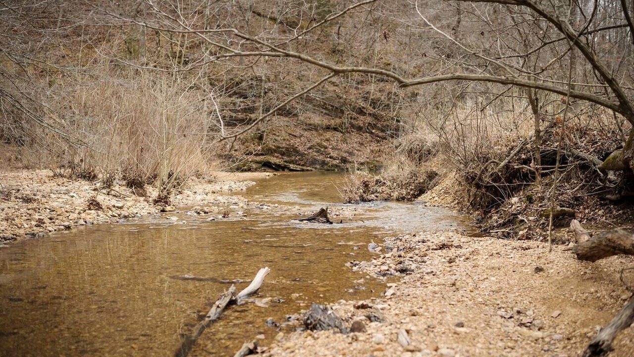 Photo of Others in Doniphan