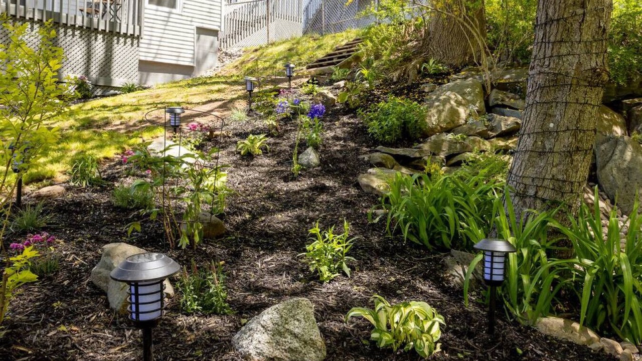 Photo of Outdoor in Dartmouth