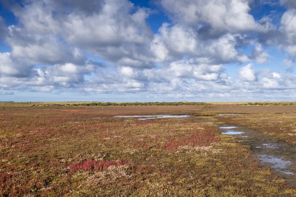 Photo of Others in Deepdale