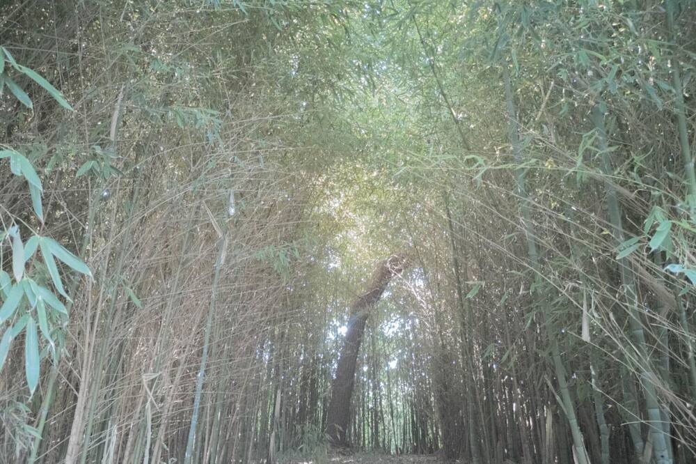 Photo of Outdoor in Belis