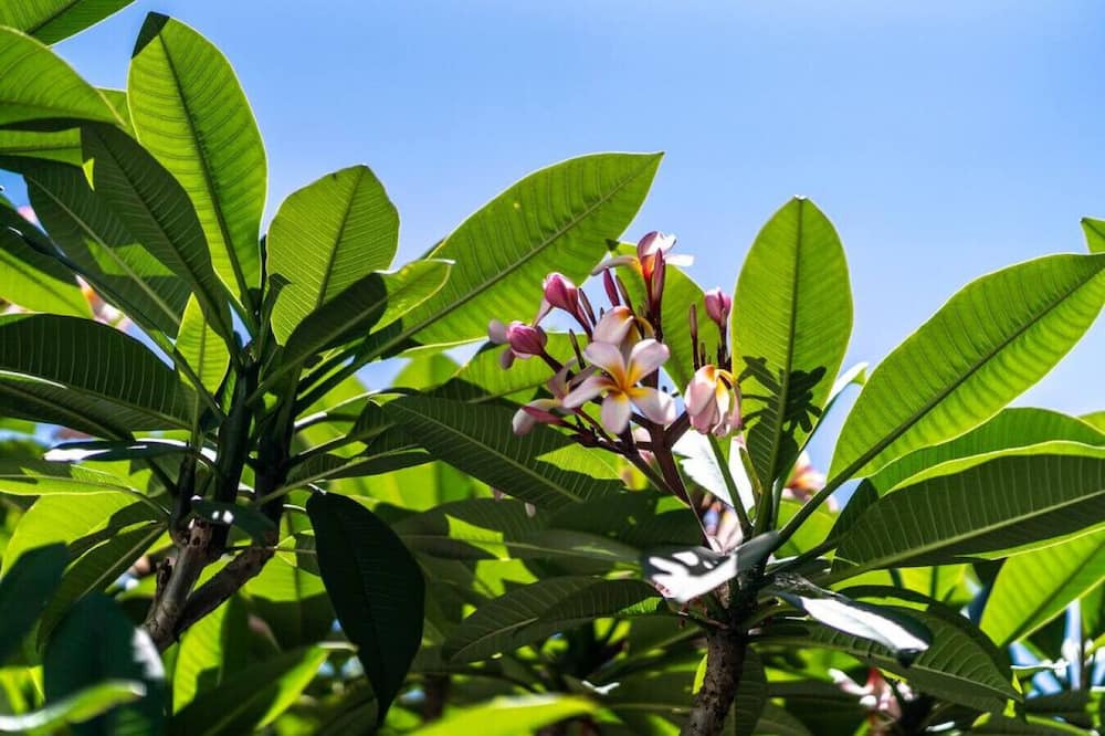 Photo of Others in West Burleigh