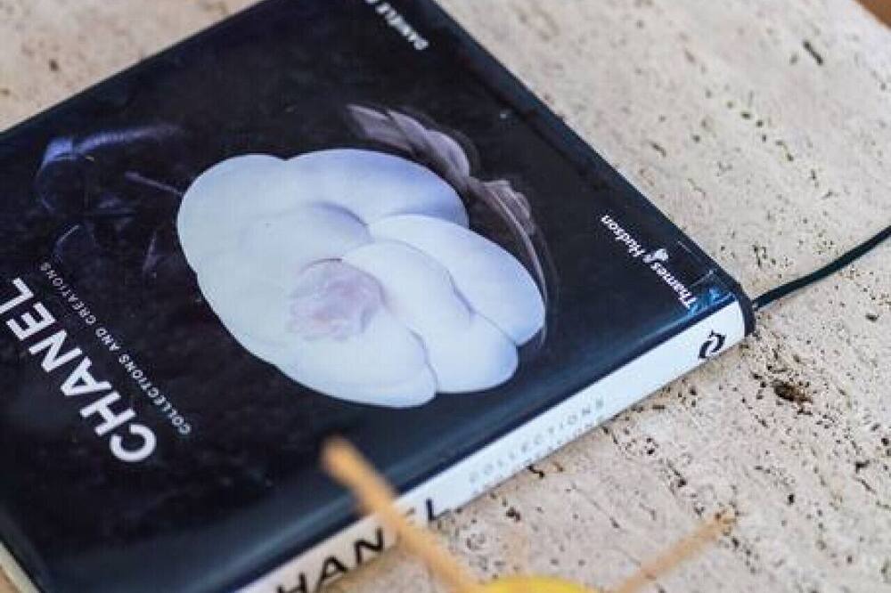 Photo of Others in West Burleigh